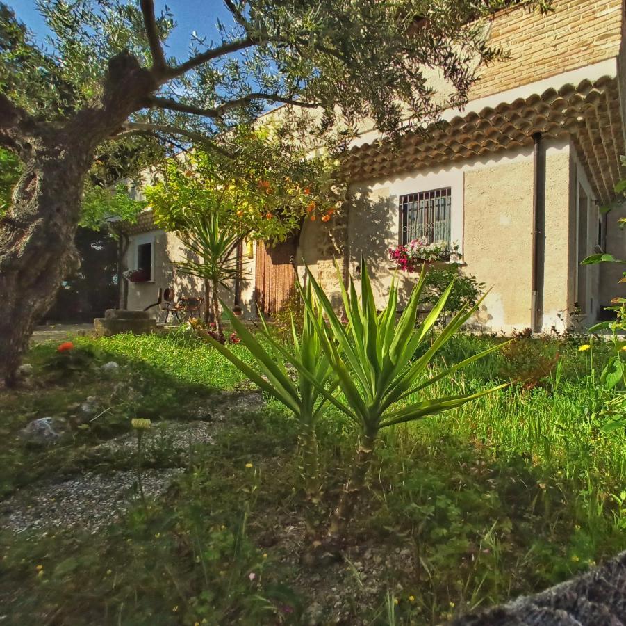 B&B La Masseria Del '700 Castiglione a Casauria ภายนอก รูปภาพ